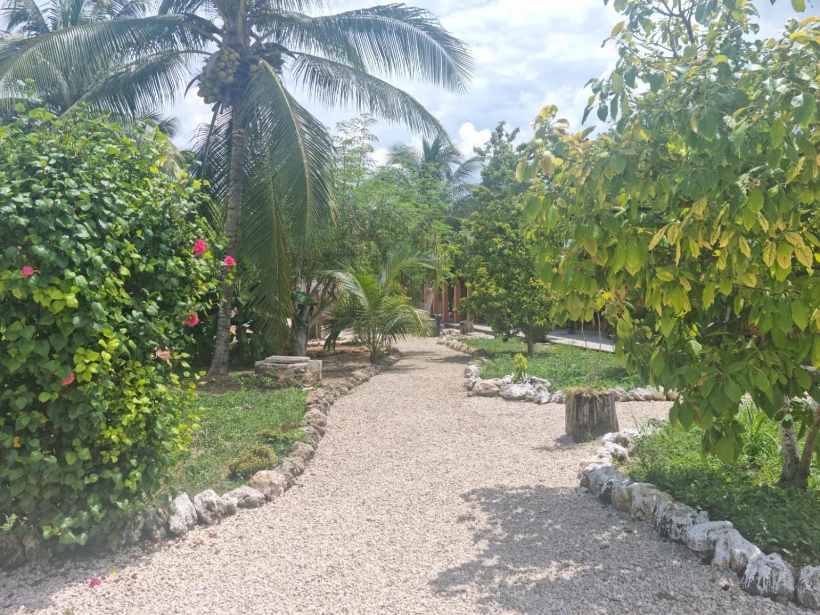 Bacalar Sunshine Hotel ภายนอก รูปภาพ